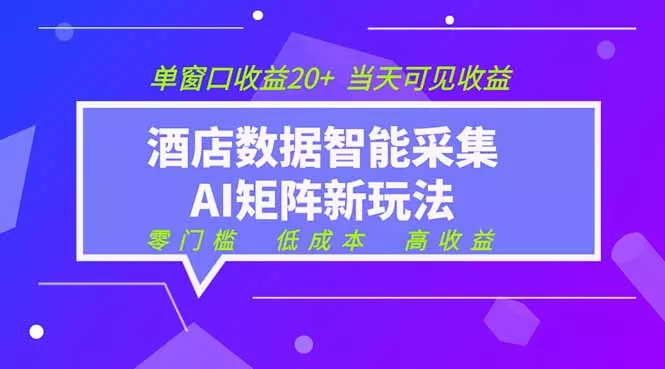2026酒店数据采集ai智能矩阵新风口 低成本 高收益 当天见收益 单窗口20+-179创客网