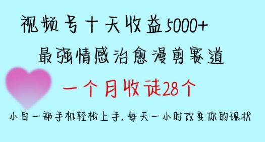 十天收益5000+，多平台捞金，视频号情感治愈漫剪，一个月收徒28个，小白一部手机轻松上手【揭秘】-179创客网