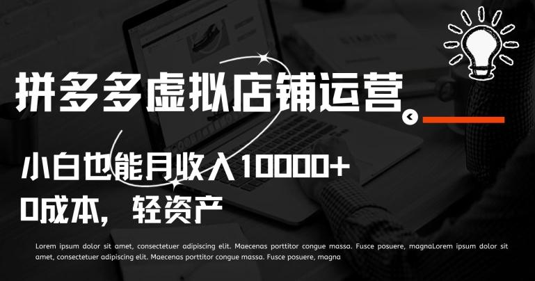拼多多虚拟店铺运营小白也能月收入10000+【揭秘】-179创客网
