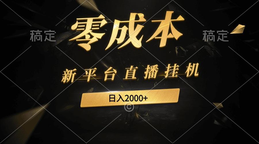 (9841期)新平台直播挂机最新玩法，0成本，不违规，日入2000+-179创客网