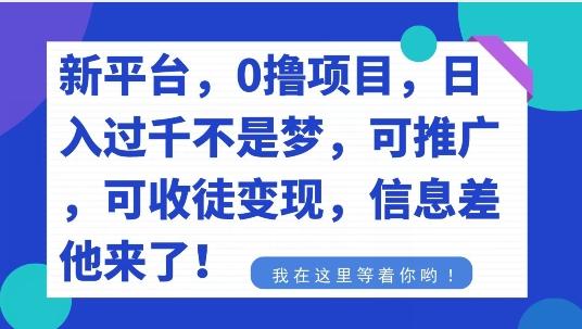 不要再花冤枉钱了，0撸项目，每天坚持，稳定1000+-179创客网