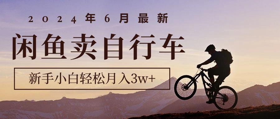 2024年6月最新闲鱼卖自行车，新手小白轻松月入3w+项目-179创客网