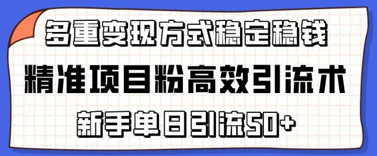精准项目粉高效引流术，新手单日引流50+，多重变现方式稳定赚钱【揭秘】-179创客网