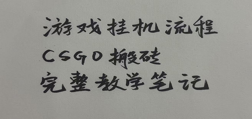 游戏挂机全流程笔记分享，CSGO游戏搬砖，小白看了当天学会见收益-179创客网