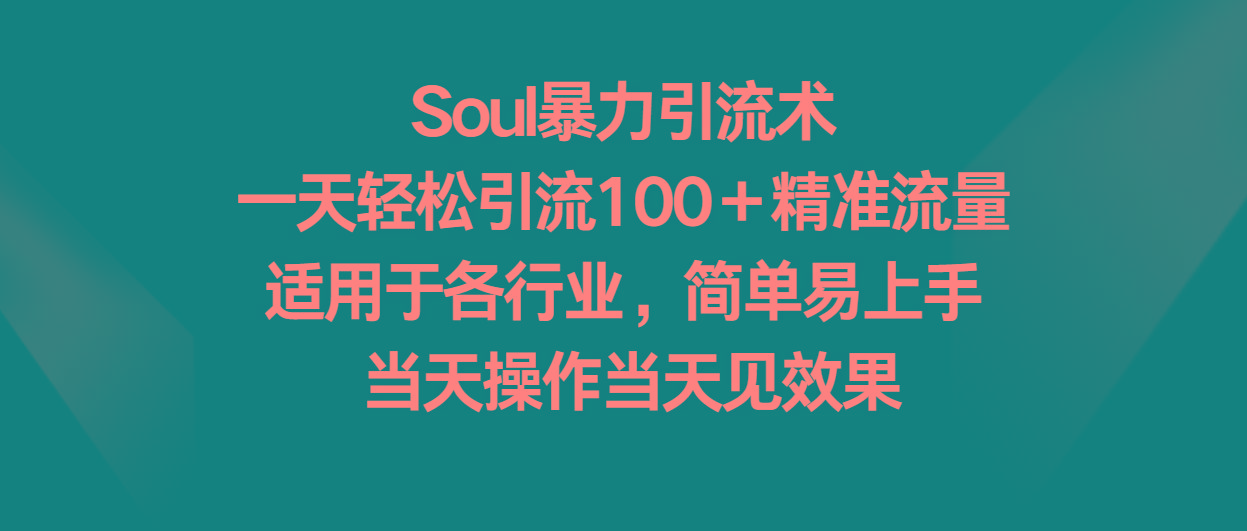 Soul暴力引流术，一天轻松引流100＋精准流量，适用于各行业，简单易上手！-179创客网