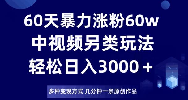 60天暴力涨粉60W，中视频另类玩法，日入3000＋，几分钟一条原创作品多种变现方式-179创客网