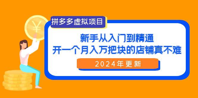 (9744期)拼多多虚拟项目：入门到精通，开一个月入万把块的店铺 真不难(24年更新)-179创客网