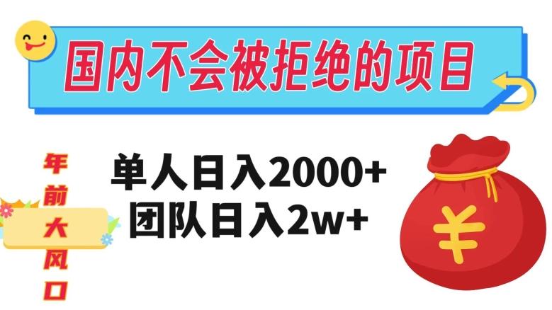 在国内不怕被拒绝的项目，单人日入2000，团队日入20000+【揭秘】-179创客网
