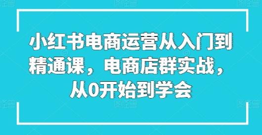 小红书电商运营从入门到精通课，电商店群实战，从0开始到学会-179创客网