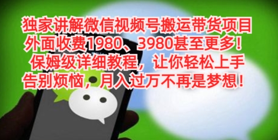 独家讲解微信视频号搬运带货项目，保姆级详细教程-179创客网