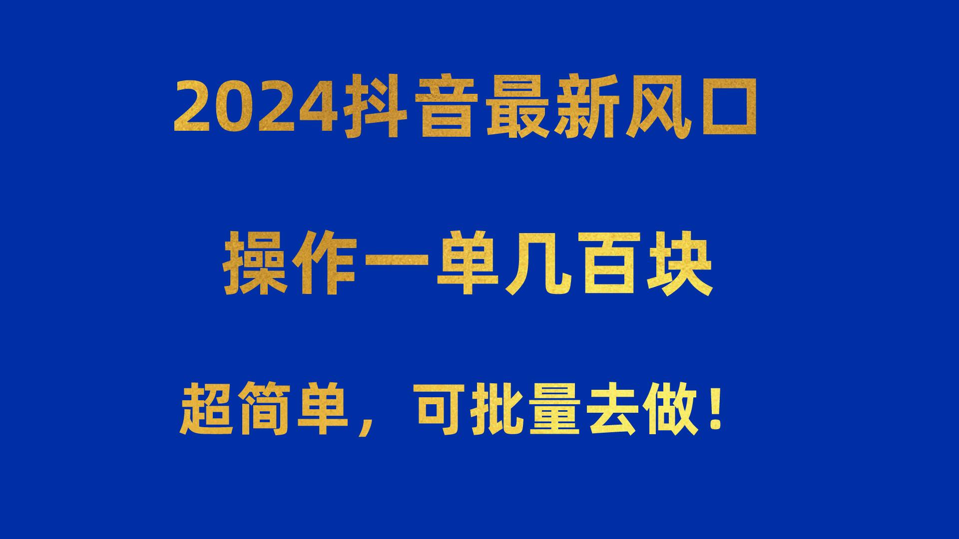 2024抖音最新风口！操作一单几百块！超简单，可批量去做！！！-179创客网