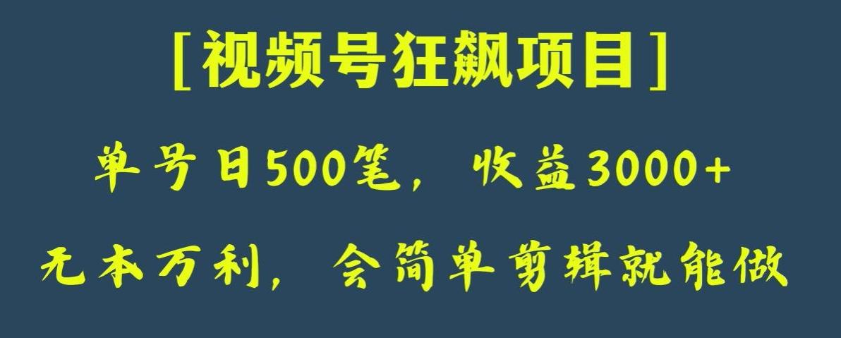 日收款500笔，纯利润3000+，视频号狂飙项目，会简单剪辑就能做【揭秘】-179创客网