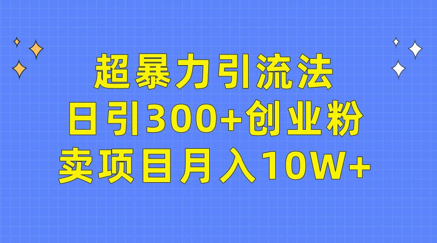 (9954期)超暴力引流法，日引300+创业粉，卖项目月入10W+-179创客网