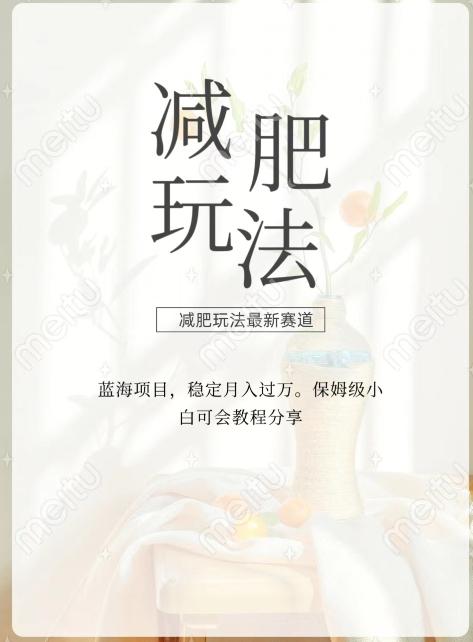 减肥流量主新玩法，轻松月入1W，可矩阵操作收入翻倍-179创客网