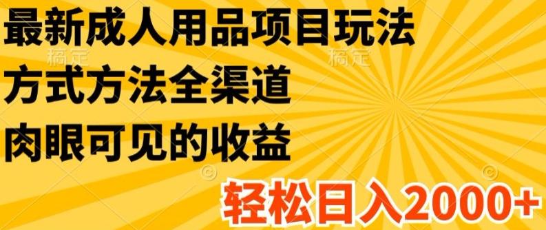 最新成人用品项目玩法，方式方法全渠道，轻松日入2K+【揭秘】-179创客网