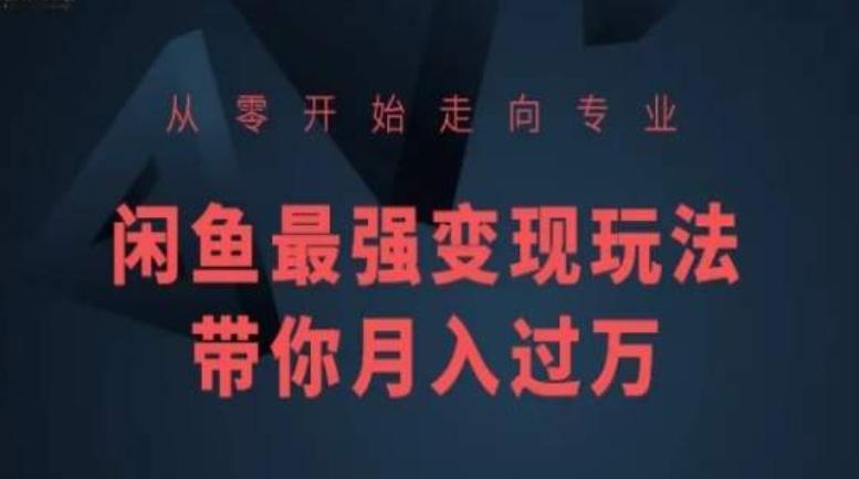 从零开始走向专业，闲鱼最强变现玩法带你月入过万-179创客网