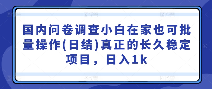 国内问卷调查小白在家也可批量操作(日结)真正的长久稳定项目，日入1k【揭秘】-179创客网