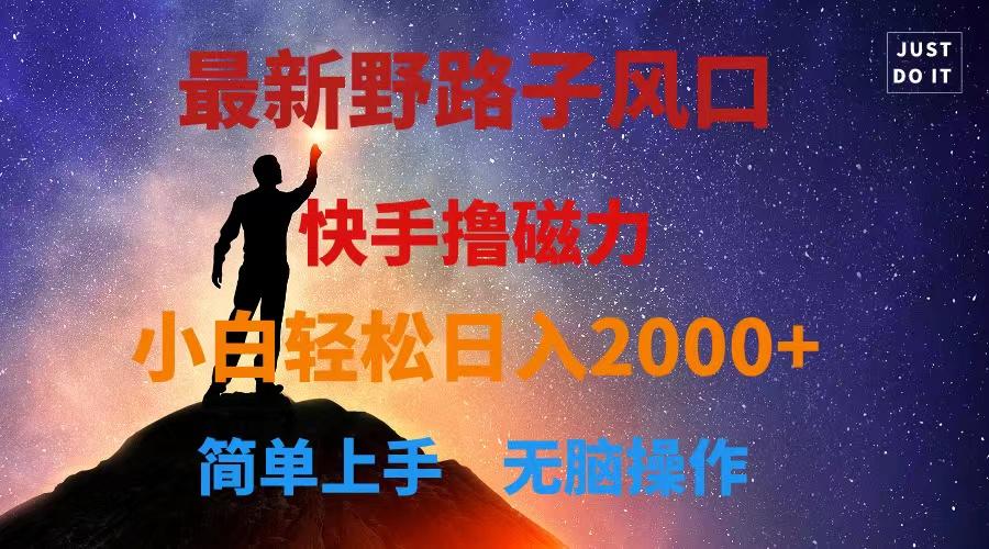 最新风口！快手撸磁力，野路子，小白无脑操作日入2000+-179创客网