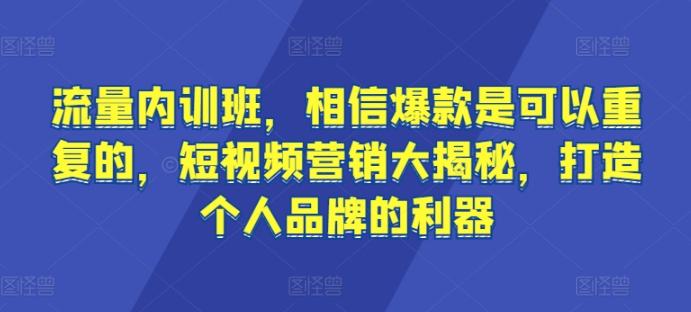 流量内训班，相信爆款是可以重复的，短视频营销大揭秘，打造个人品牌的利器-179创客网
