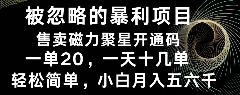 被忽略的暴利项目！售卖磁力聚星开通码，一单20，一天十几单，轻松月入五六千-179创客网