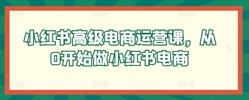 小红书高级电商运营课，从0开始做小红书电商-179创客网