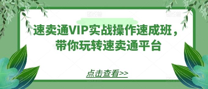 速卖通VIP实战操作速成班，带你玩转速卖通平台-179创客网