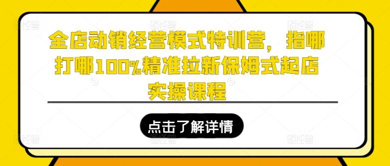 全店动销经营模式特训营，指哪打哪100%精准拉新保姆式起店实操课程-179创客网