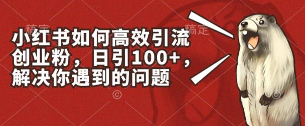 小红书如何高效引流创业粉，日引100+，解决你遇到的问题【揭秘】-179创客网