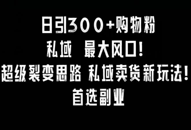 日引300+购物粉，超级裂变思路，私域卖货新玩法，小红书首选副业【揭秘】-179创客网