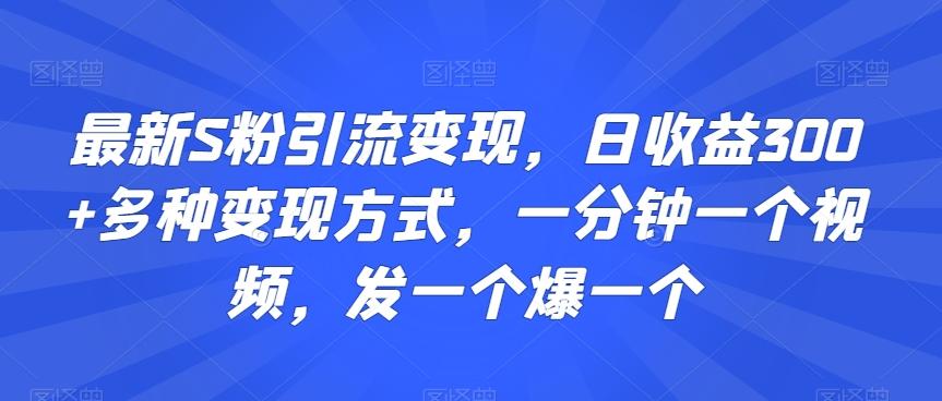 最新S粉引流变现，日收益300+多种变现方式，一分钟一个视频，发一个爆一个【揭秘】-网创资源