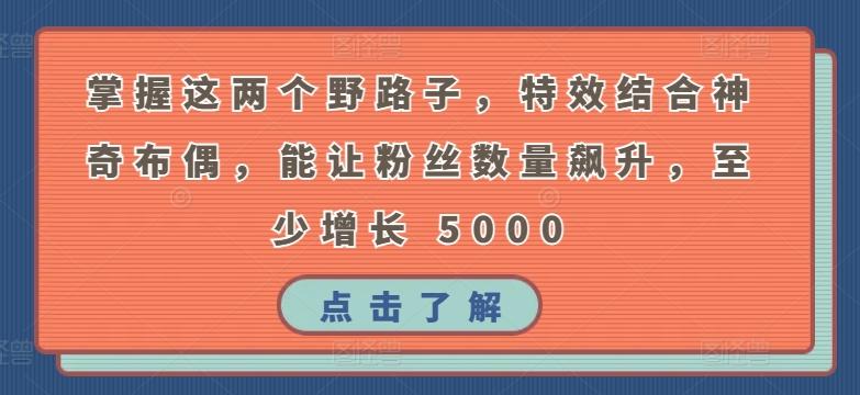 掌握这两个野路子，特效结合神奇布偶，能让粉丝数量飙升，至少增长 5000【揭秘】-179创客网