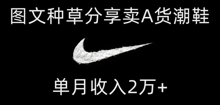 靠图文种草分享卖A货潮鞋，每天一小时，单月收入2万+【揭秘】-网创资源