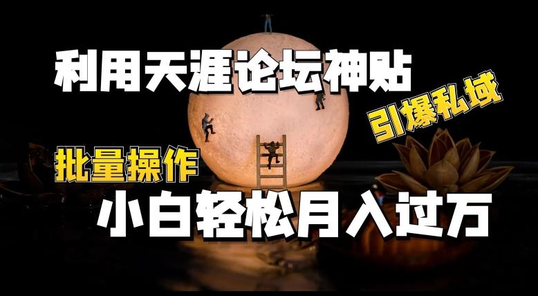 利用天涯论坛神贴，引爆私域，批量操作，小白轻松月入过w【揭秘】-179创客网
