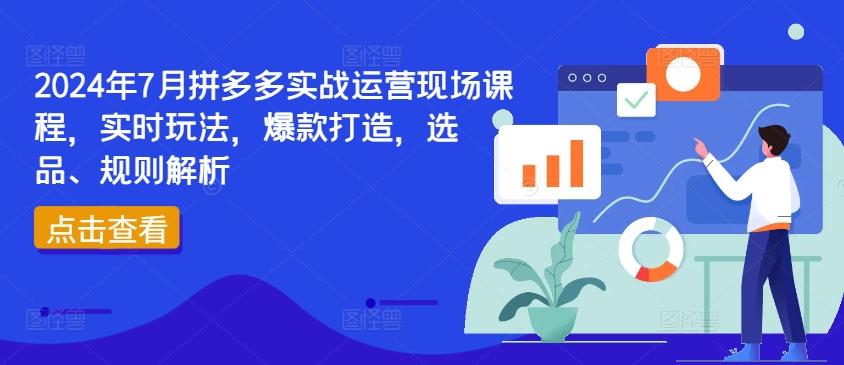 2024年7月拼多多实战运营现场课程，实时玩法，爆款打造，选品、规则解析-179创客网