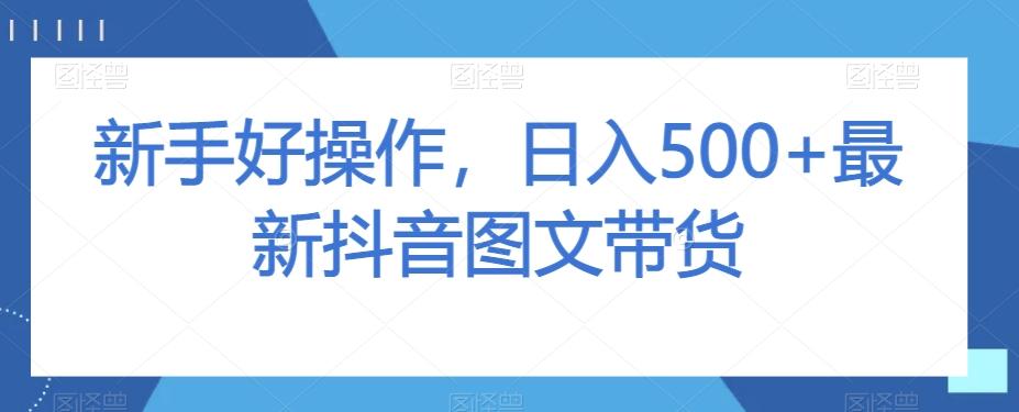 新手好操作，日入500+最新抖音图文带货【揭秘】-179创客网