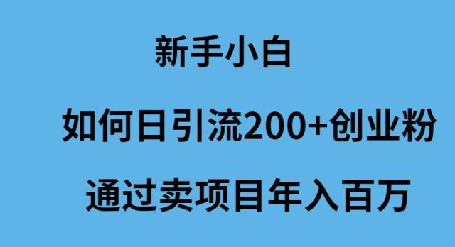(9668期)新手小白如何日引流200+创业粉通过卖项目年入百万-179创客网