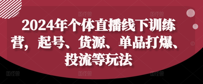 2024年个体直播训练营，起号、货源、单品打爆、投流等玩法-179创客网