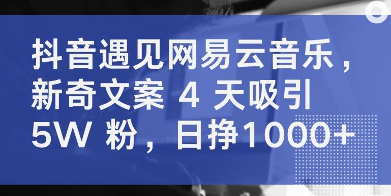抖音遇见网易云音乐，新奇文案 4 天吸引 5W 粉，日挣1000+【揭秘】-179创客网