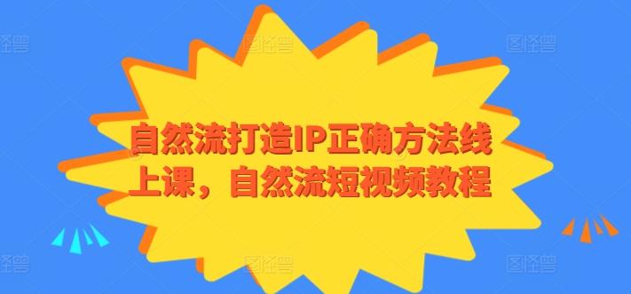 自然流打造IP正确方法线上课，自然流短视频教程-179创客网