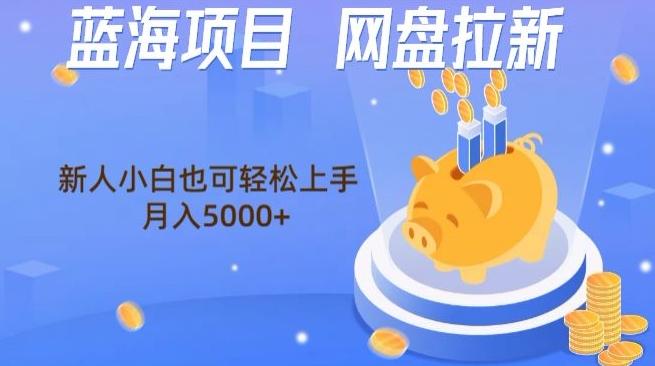 蓝海项目网盘拉新，新人小白也可操作，每月收入5000+-网创资源