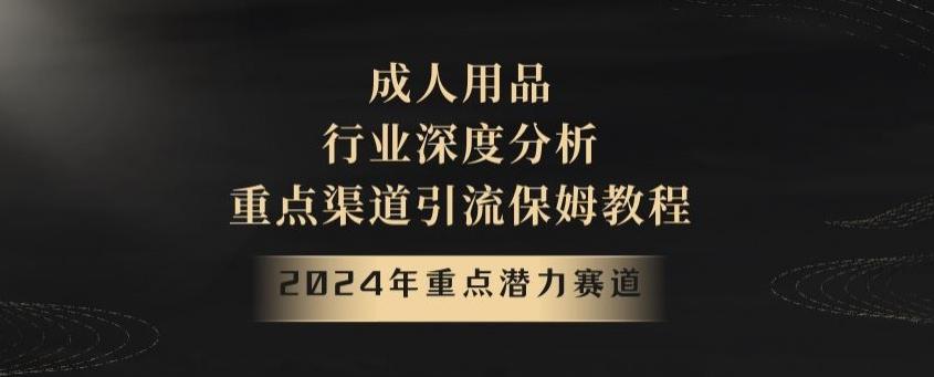 2024年重点潜力赛道，成人用品行业深度分析，重点渠道引流保姆教程【揭秘】-网创资源