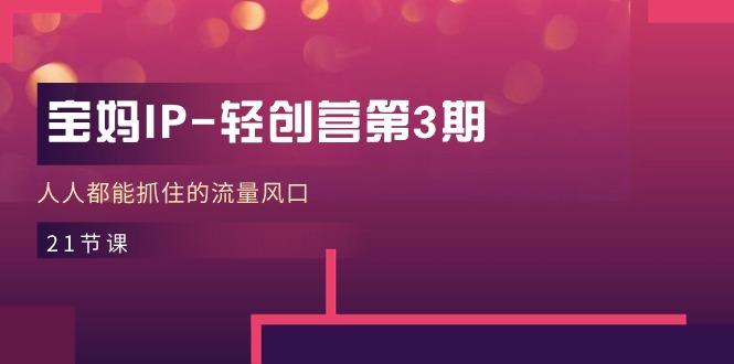 宝妈IP-轻创营第3期，人人都能抓住的流量风口(21节课-179创客网