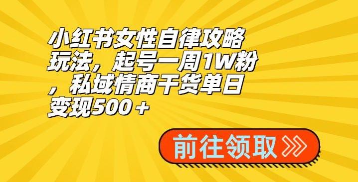 小红书女性自律攻略玩法，起号一周1W粉，私域情商干货单日变现500＋-179创客网