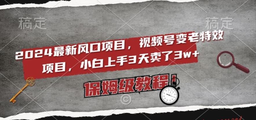 2024最新风口项目，视频号变老特效项目，电脑小白上手3天卖了3w+，保姆级教程【揭秘】-179创客网