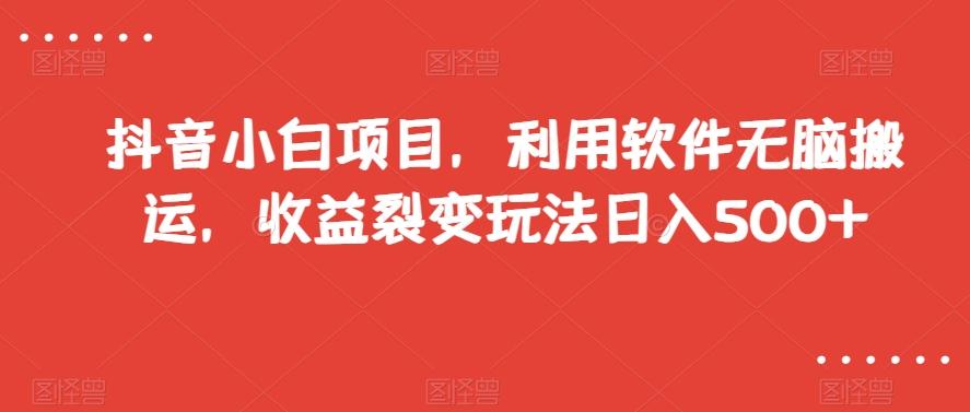 抖音小白项目，利用软件无脑搬运，收益裂变玩法日入500+【揭秘】-179创客网