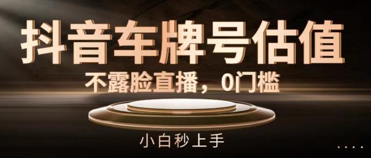 抖音车牌号估值，不露脸直播，0门槛，小白秒上手【揭秘】-179创客网