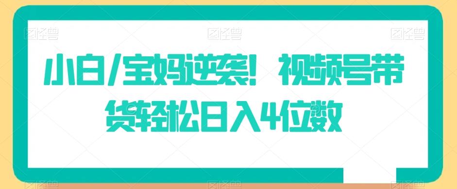 小白/宝妈逆袭！视频号带货轻松日入4位数【揭秘】-179创客网