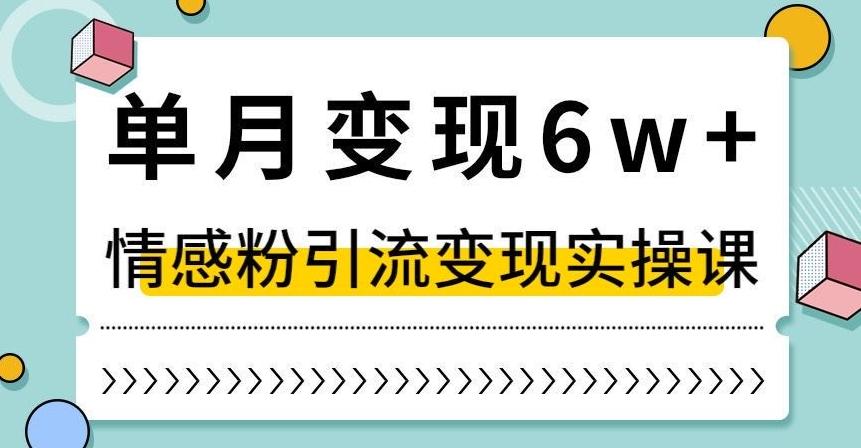 单月变现6W+，抖音情感粉引流变现实操课，小白可做，轻松上手，独家赛道【揭秘】-179创客网