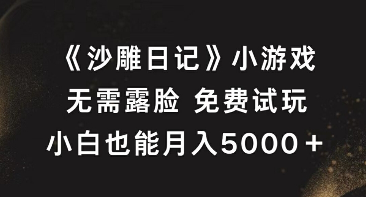 《沙雕日记》小游戏，无需露脸免费试玩，小白也能月入5000+【揭秘】-179创客网