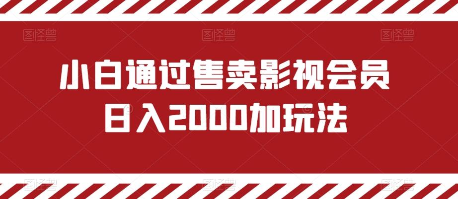 小白通过售卖影视会员日入2000加玩法-179创客网